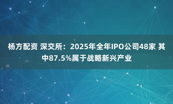杨方配资 深交所：2025年全年IPO公司48家 其中87.5%属于战略新兴产业