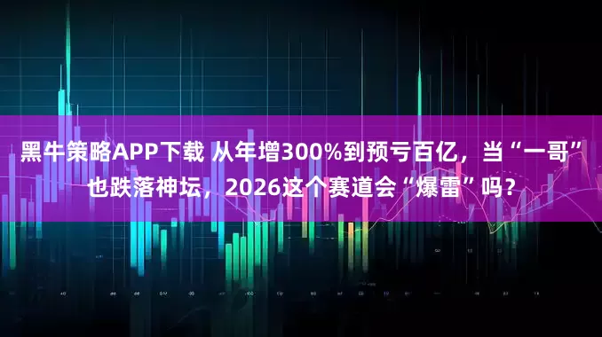 黑牛策略APP下载 从年增300%到预亏百亿，当“一哥”也跌落神坛，2026这个赛道会“爆雷”吗？